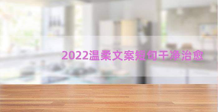 2022温柔文案短句干净治愈