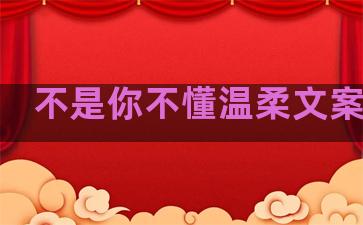 不是你不懂温柔文案句子
