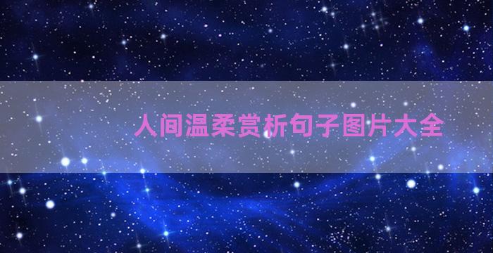 人间温柔赏析句子图片大全