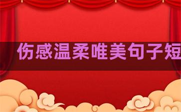 伤感温柔唯美句子短句子