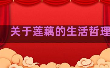 关于莲藕的生活哲理句子