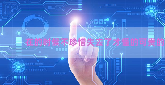 在的时候不珍惜失去了才懂的可贵的诗句