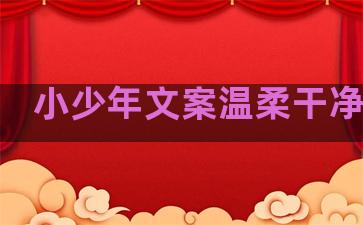 小少年文案温柔干净句子