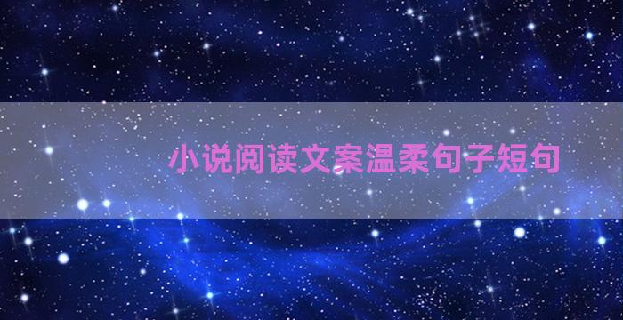 小说阅读文案温柔句子短句