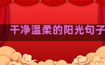 干净温柔的阳光句子图片