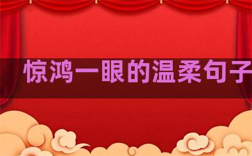 惊鸿一眼的温柔句子图片