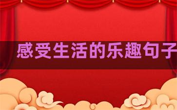 感受生活的乐趣句子英文