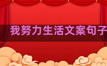 我努力生活文案句子简短
