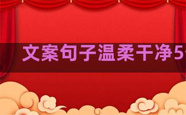文案句子温柔干净5个字