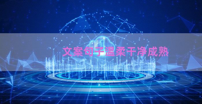 文案句子温柔干净成熟