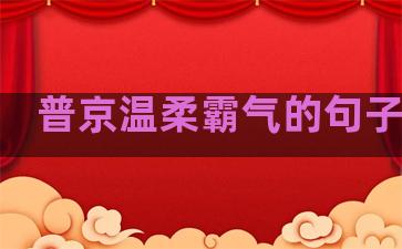 普京温柔霸气的句子图片