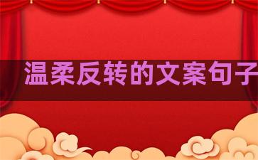 温柔反转的文案句子简短