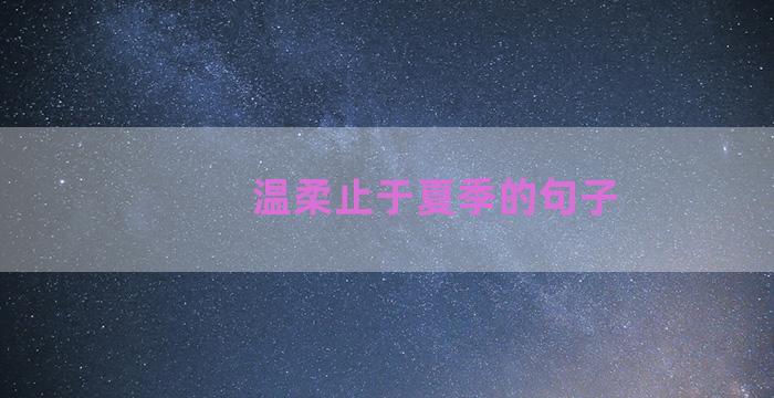 温柔止于夏季的句子