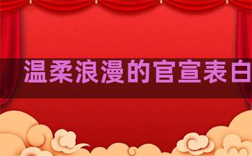 温柔浪漫的官宣表白句子
