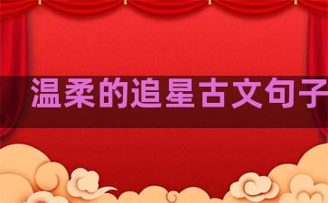 温柔的追星古文句子简短