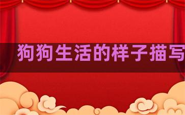 狗狗生活的样子描写句子
