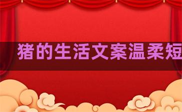 猪的生活文案温柔短句子
