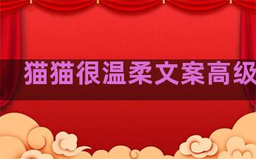 猫猫很温柔文案高级句子