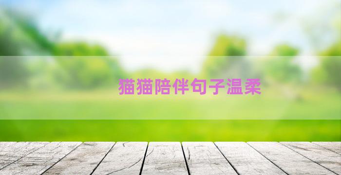 猫猫陪伴句子温柔