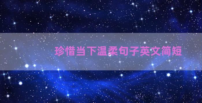 珍惜当下温柔句子英文简短