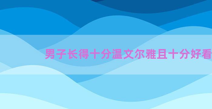 男子长得十分温文尔雅且十分好看