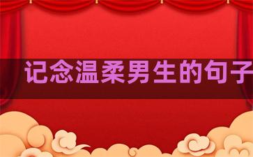 记念温柔男生的句子简短