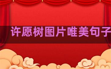 许愿树图片唯美句子温柔