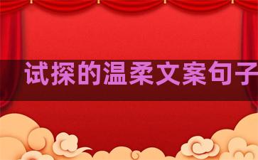 试探的温柔文案句子短句