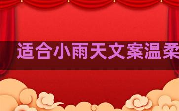 适合小雨天文案温柔句子