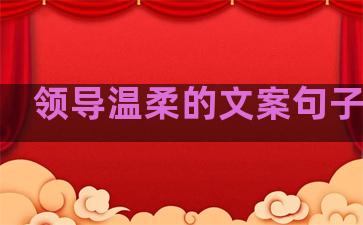 领导温柔的文案句子短句
